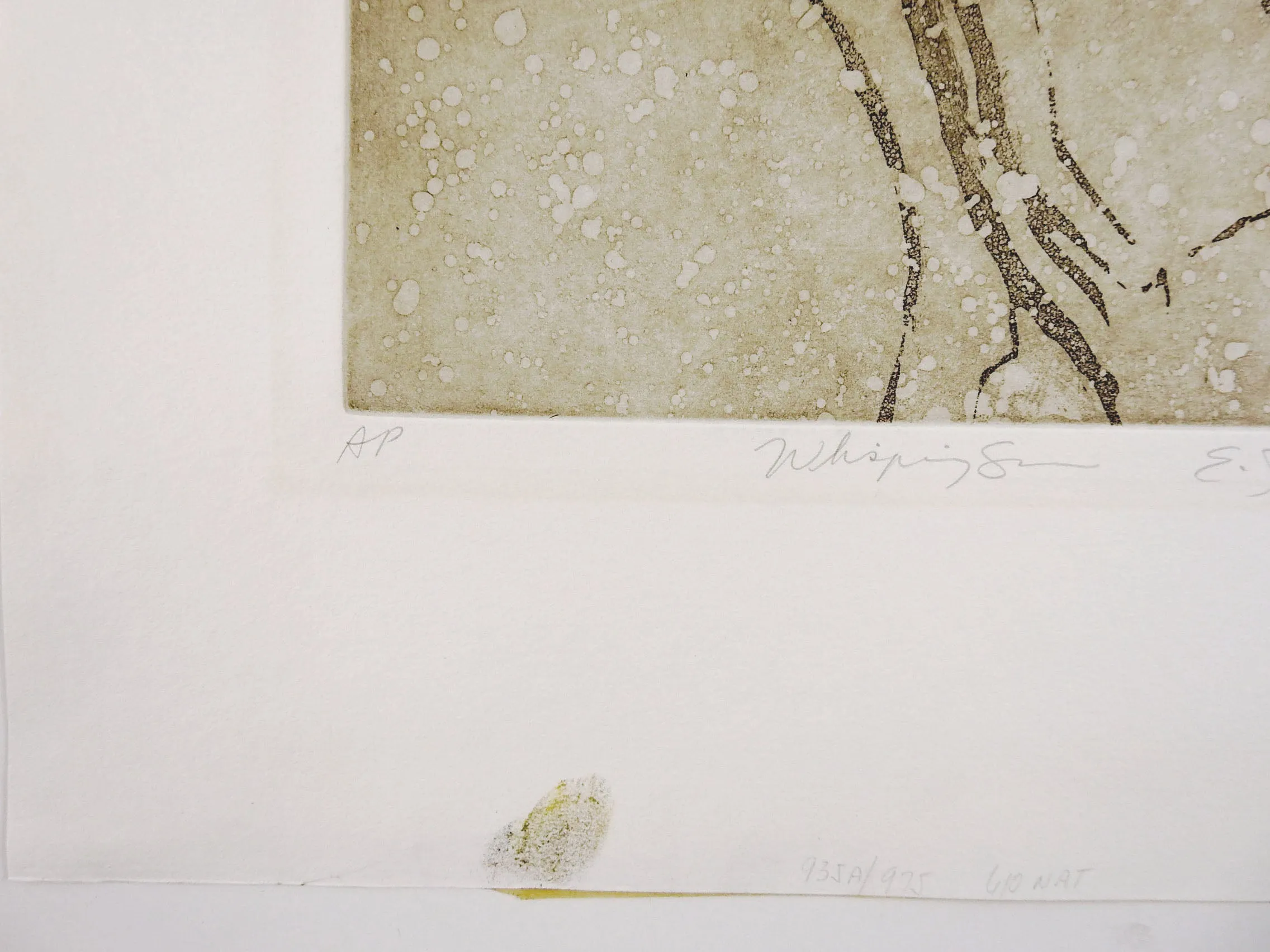 Birch Trees Reflection Etching