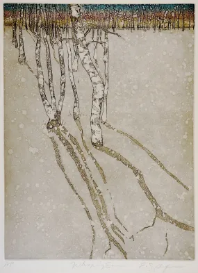 Birch Trees Reflection Etching