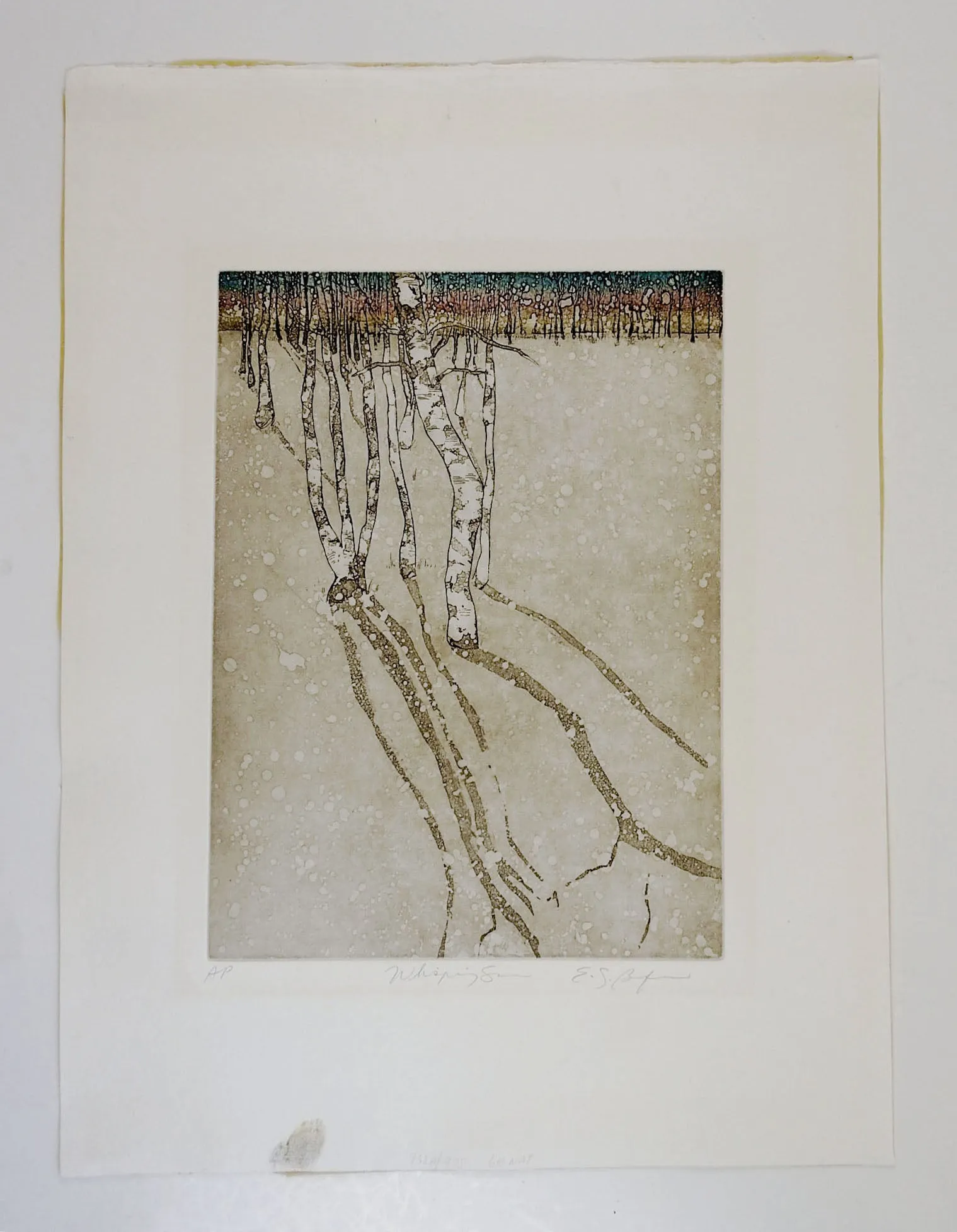 Birch Trees Reflection Etching