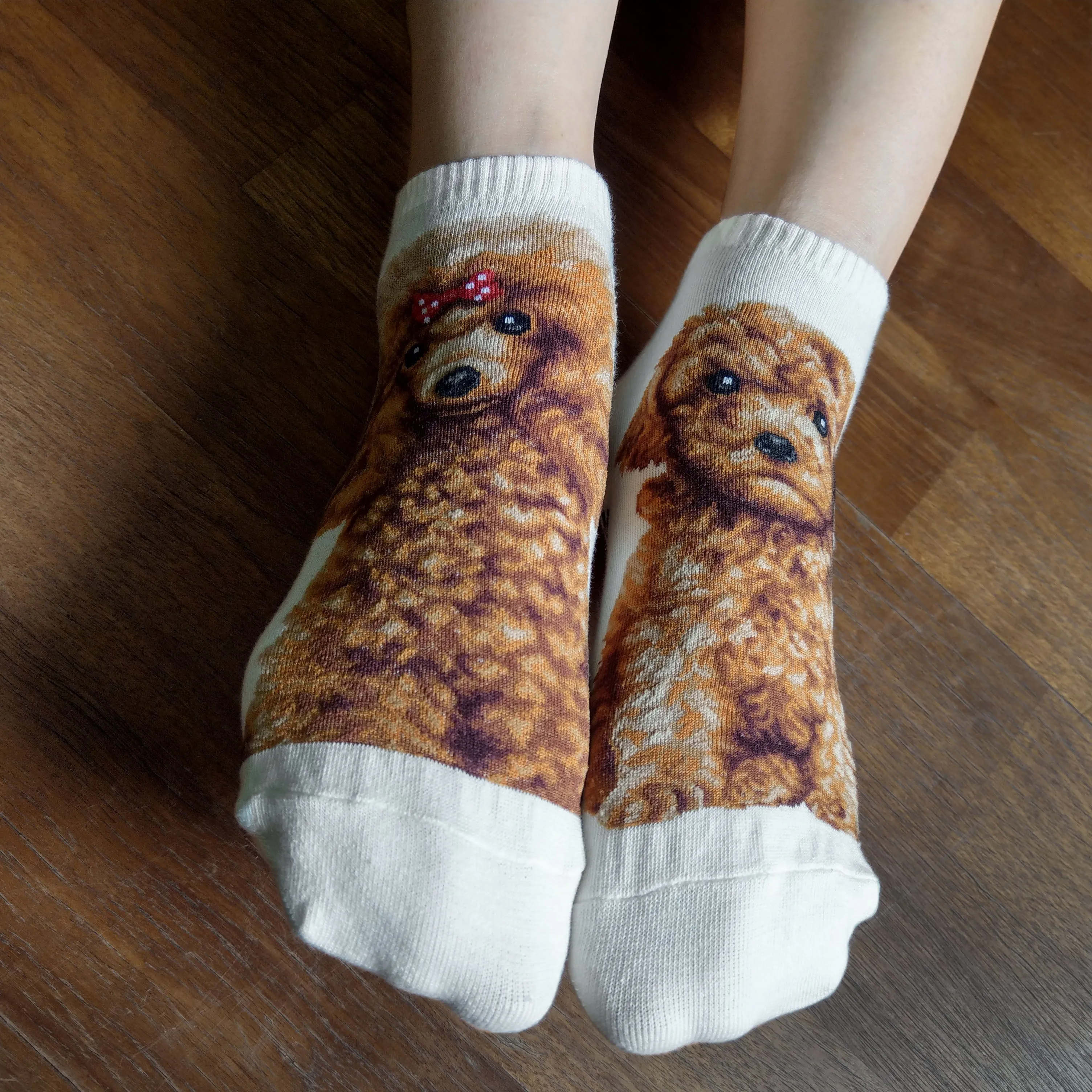 Dogs Ankles - Poodle